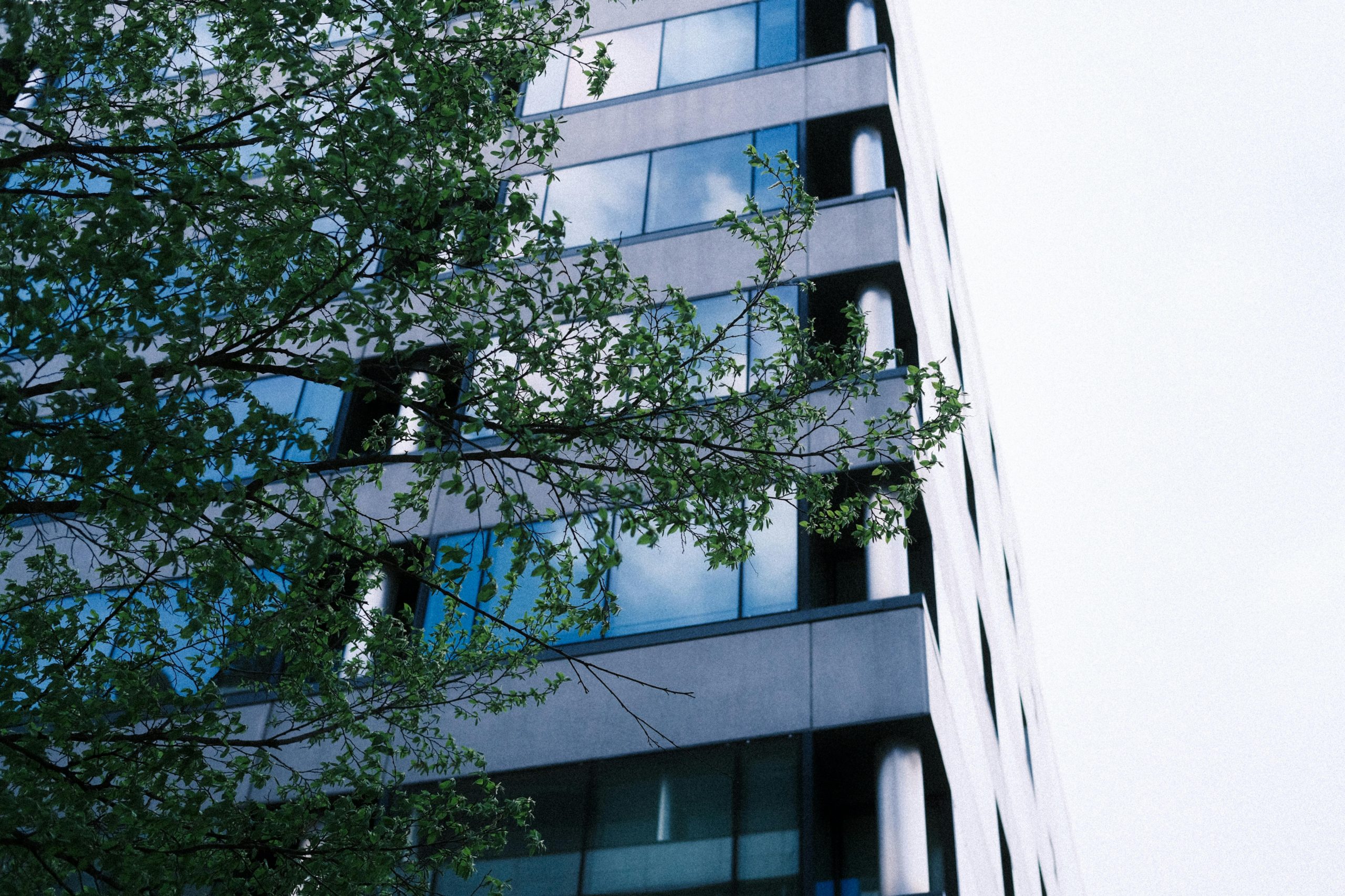 liquidación sociedad abogados